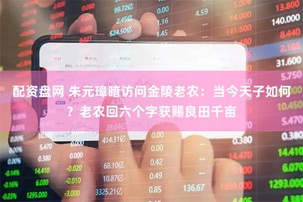 配资盘网 朱元璋暗访问金陵老农：当今天子如何？老农回六个字获赐良田千亩